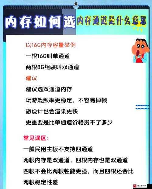 长清大学大一 AJ 资源：深度解析与全方位探索的宝库